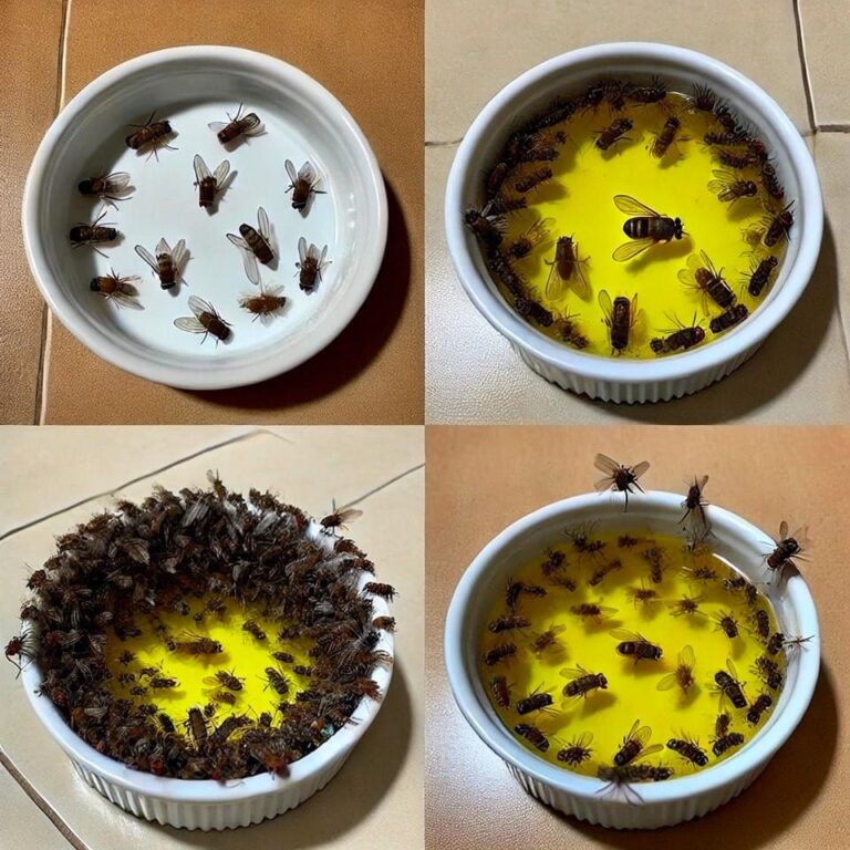 You won’t see any more flies in your house with the water glass trick… 