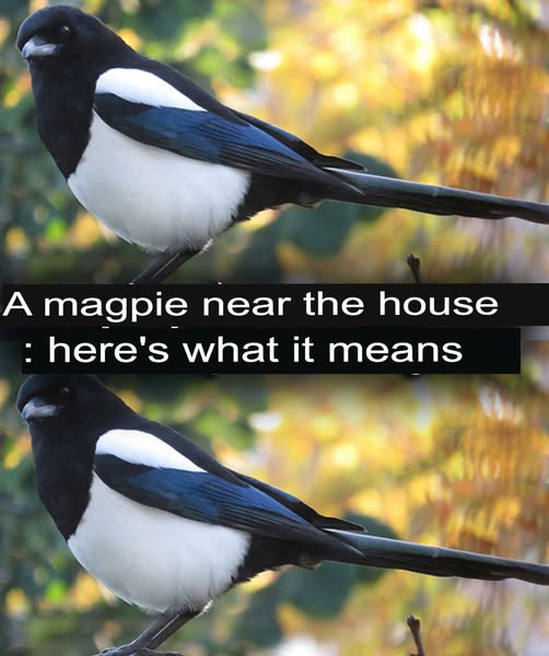 A pie in the house: what is its spiritual significance?