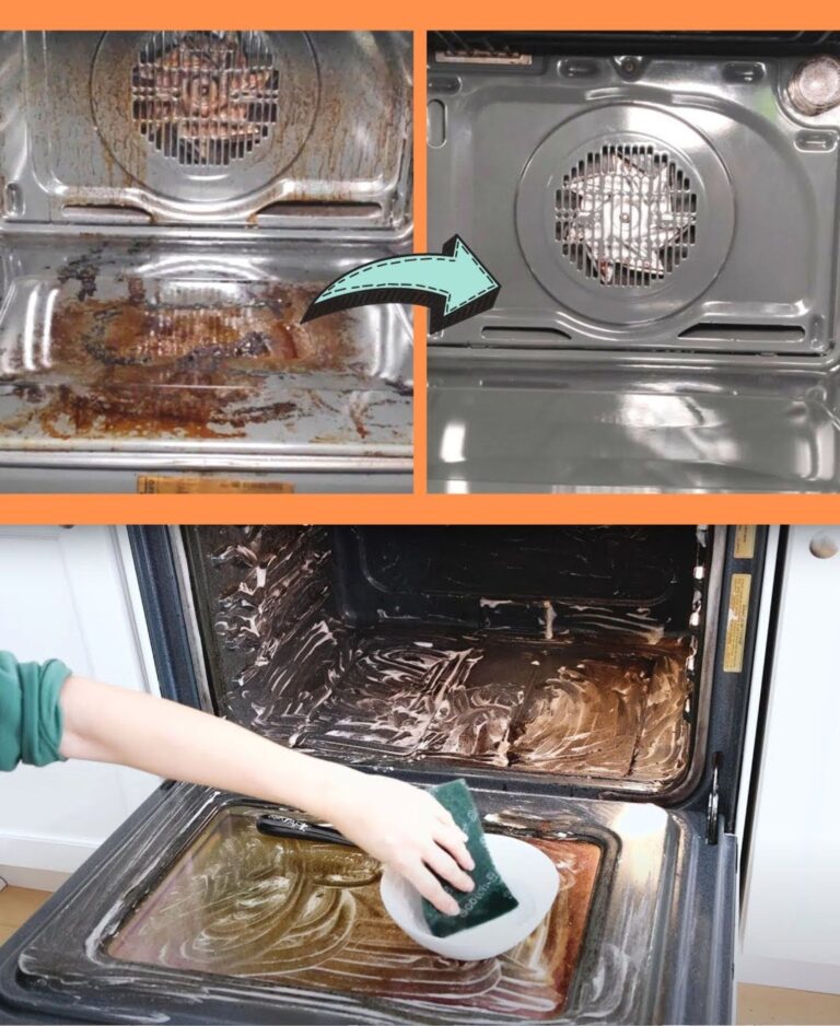 An oven that cleans itself while you sleep—it works using just a bowl: the next day, it’s like new again